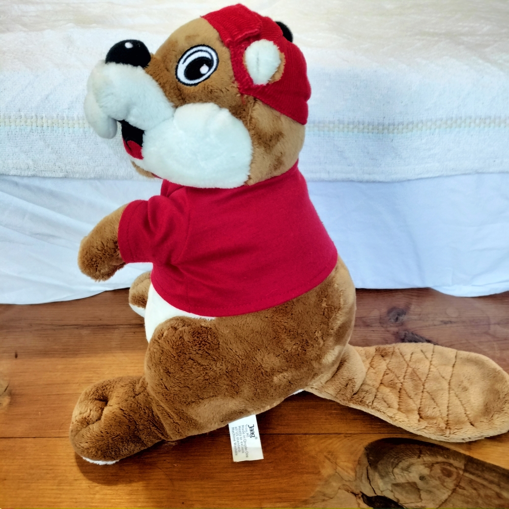 Buc-ees Plush Bucky The Beaver Stuffed Animal, Ages 3 and Up, 12 Inches Tall - Picture 2 of 7